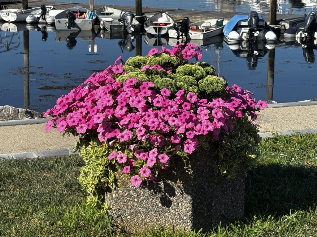 Cripple Cove